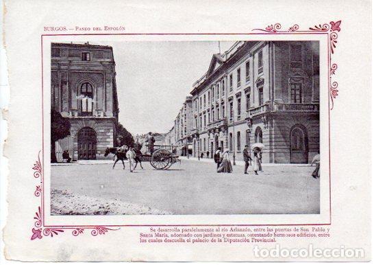 Cartes Postales: LAMINA V31638: Burgos. Paseo del Espolon - Varios