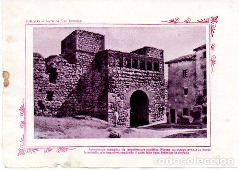 Postcards: LAMINA V31633: Burgos. Arco de San Esteban - Varios