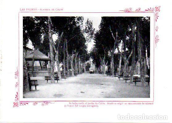 Cartoline: LAMINA V31778: Las Palmas. Alameda de Colon - Varios