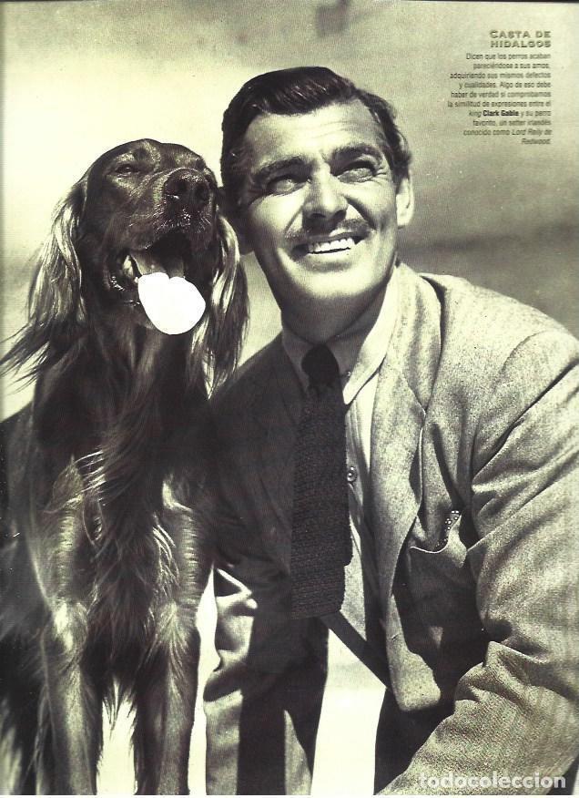 Postais: LAMINA 37219: Clark Gable con su perro - Jaume Figueras