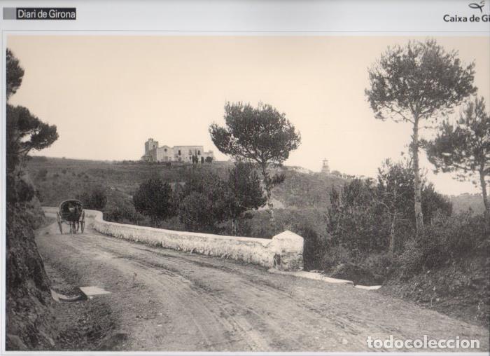 Postales: LAMINA V31588: Carretera del Far de Sant Sebastia, Palafrugell - Varios