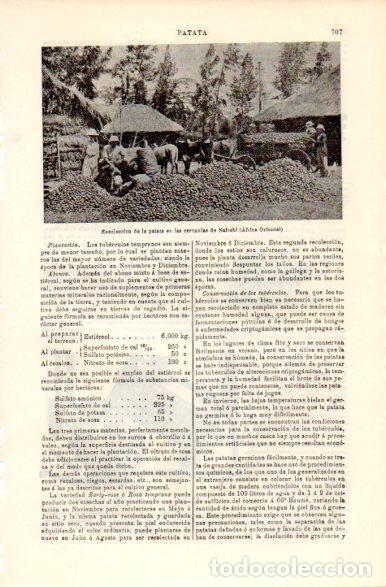 Postkarten: LAMINA V42406: Recoleccion de patatas en Nairobi - Varios