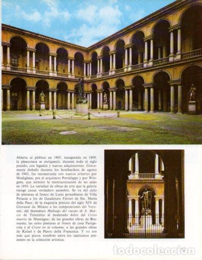 Postkarten: LAMINA V43202: Milan. Pinacoteca de Brera - Giovanna Magi