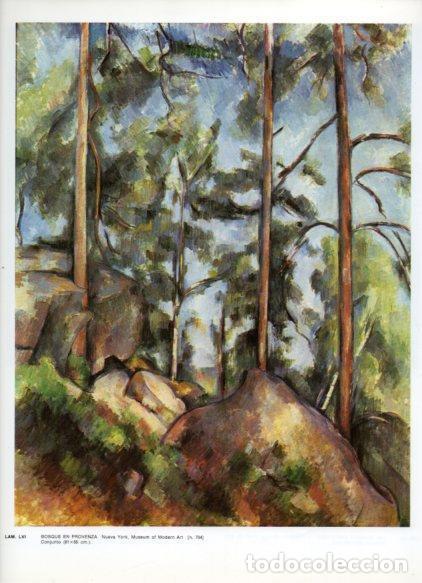 Postais: LAMINA V43315: Bosque en Provenza por Cezanne - NULL