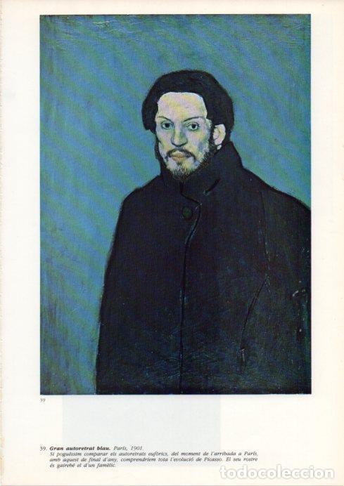 Postcards: LAMINA V43088: Picasso. Gran autoretrat blau - Josep Palau i Fabre