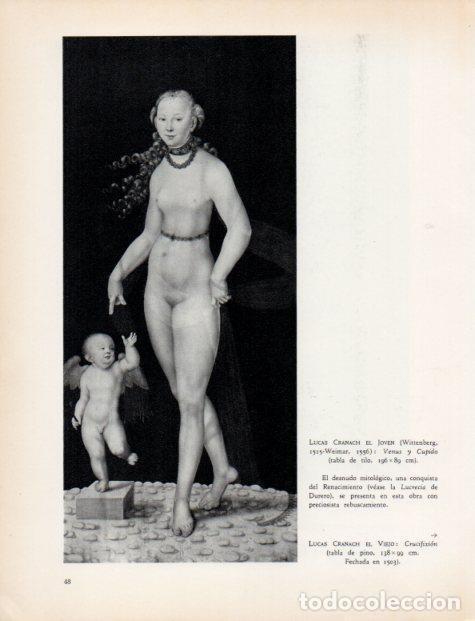 Cartoline: LAMINA V32998: Venus y Cupido por Cranach El Joven - Hermann Bauer