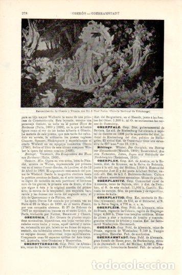 Postais: LAMINA V44721: Reconciliacion de Oberon y Titania por Noel Paton - Varios