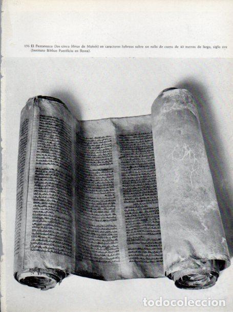 Postkarten: LAMINA V45671: El Pentateuco, Instituto Pontificio en Roma - NULL