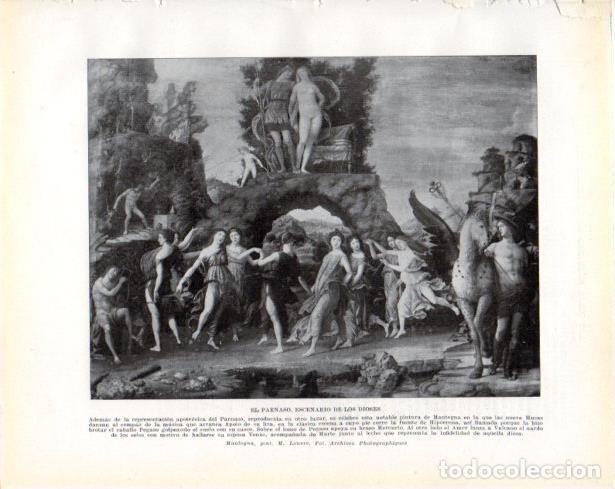 Postcards: LAMINA V34391: El Parnaso escenario de los Dioses por Mantegna - Guillermo de Boladeres