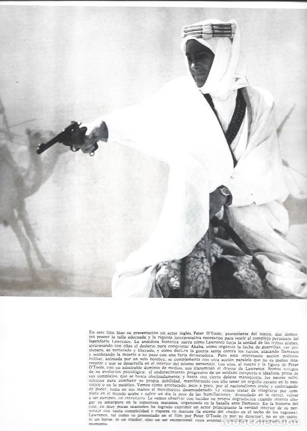 Postales: LAMINA 38312: Peter O'Toole como Lawrence de Arabia - VVAA