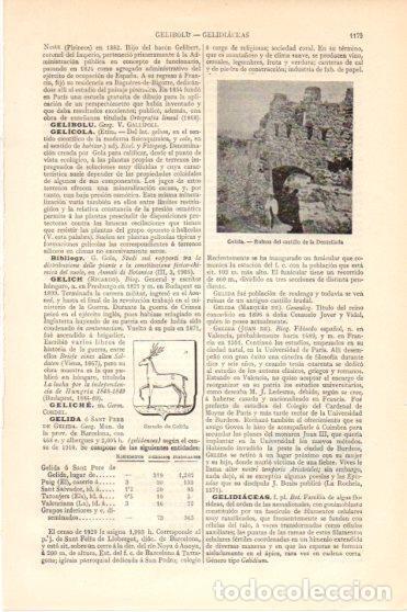 Postkarten: LAMINA V46302: Castillo de la Dentellada, Gelida - Varios