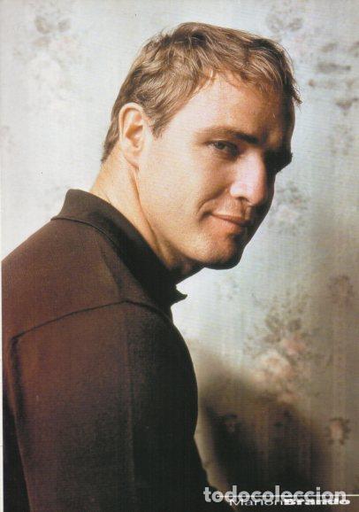 Postales: LAMINA V48431: Marlon Brando - NULL