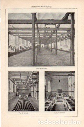 Postkarten: LAMINA V37183: Interior del matadero de Leipzig - Varios