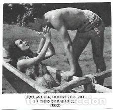 Cartes Postales: LAMINA 40028: Dolores del Rio en Bird of Paradise - NULL