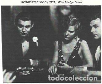 Postais: LAMINA 40210: Clark Gable en Sporting Blood - NULL