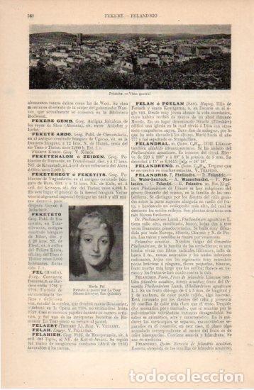 Postales: LAMINA V38662: Vista general de Felanitx, Islas Baleares - Varios