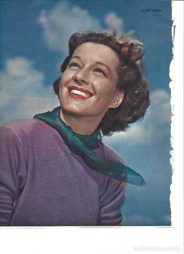 Postkarten: LAMINA 36527: Ellen Drew - Ivy Crane Wilson