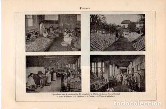 Postcards: LAMINA V39896: Conservacion del pescado en la fabrica La Noyesa en Noya, La Coru&ntilde;a - Varios