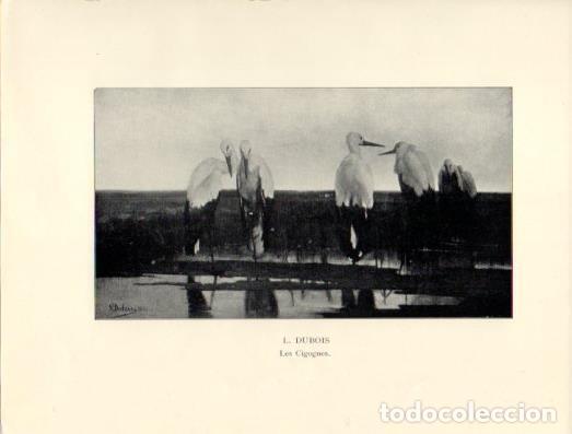 Cartoline: LAMINA V40364: Les Cigognes, L. Dubois - NULL