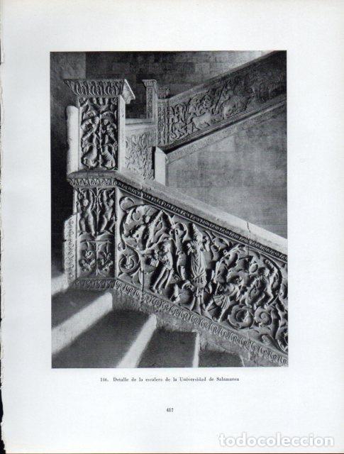 Cartoline: LAMINA V41037: Detalle de la escalera Universidad de Salamanca - Antonio Igual Ubeda