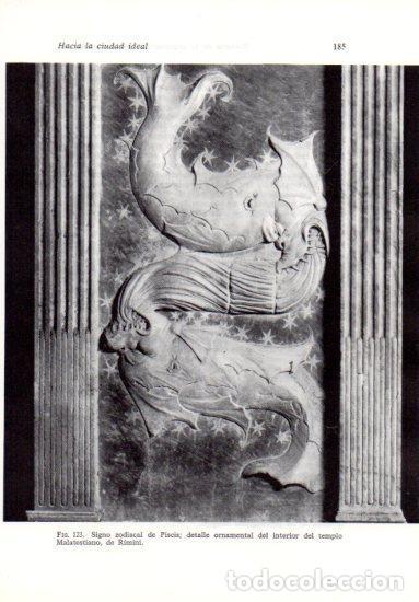 Postales: LAMINA V41214: Signo zodiacal Piscis, templo Malatestiano en Rimini - Leonardo Benevolo