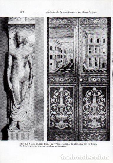 Cartoline: LAMINA V41237: Estipete de chimenea en Palacio Ducal de Urbino - Leonardo Benevolo