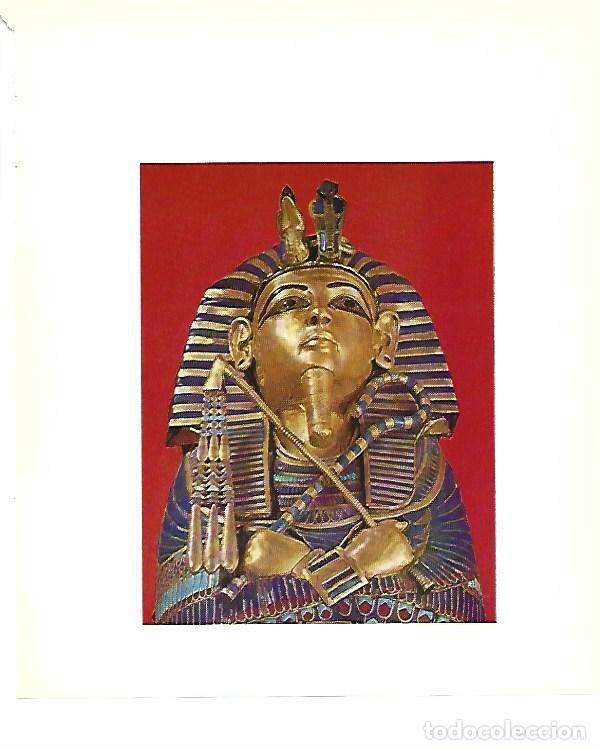 Postkarten: LAMINA 40803: La Mascara de Tutankhamon - Christiane Desroches-Noblecourt