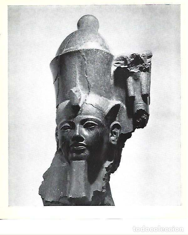 Postkarten: LAMINA 40824: Cabeza de estatua de faraon - Christiane Desroches-Noblecourt