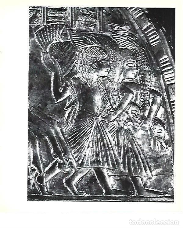 Postais: LAMINA 40793: Decoracion del flabellum de Tutankhamon - Christiane Desroches-Noblecourt