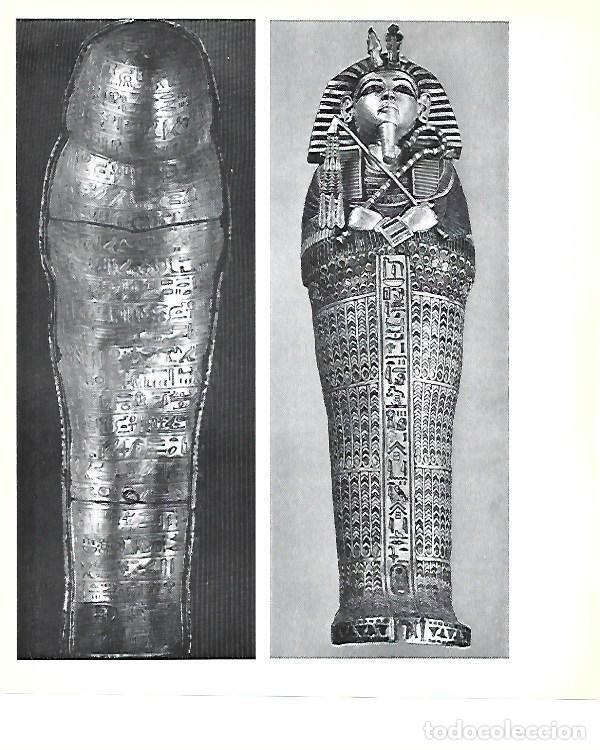 Postcards: LAMINA 40806: Uno de los sarcofagos de Tutankhamon - Christiane Desroches-Noblecourt