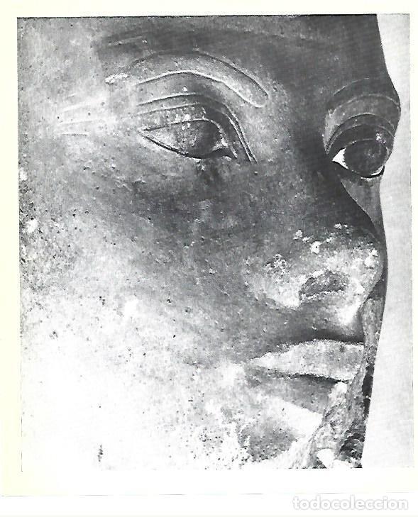 Cartoline: LAMINA 40826: Detalle del Coloso de Tutanakhamon - Christiane Desroches-Noblecourt