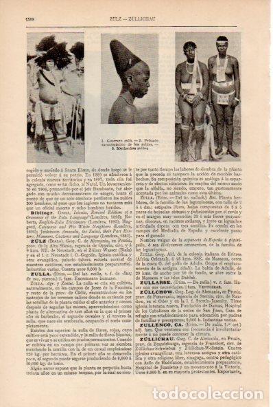 Postkarten: LAMINA ESPASA V52044: Guerrero y muchachas zulu - Varios