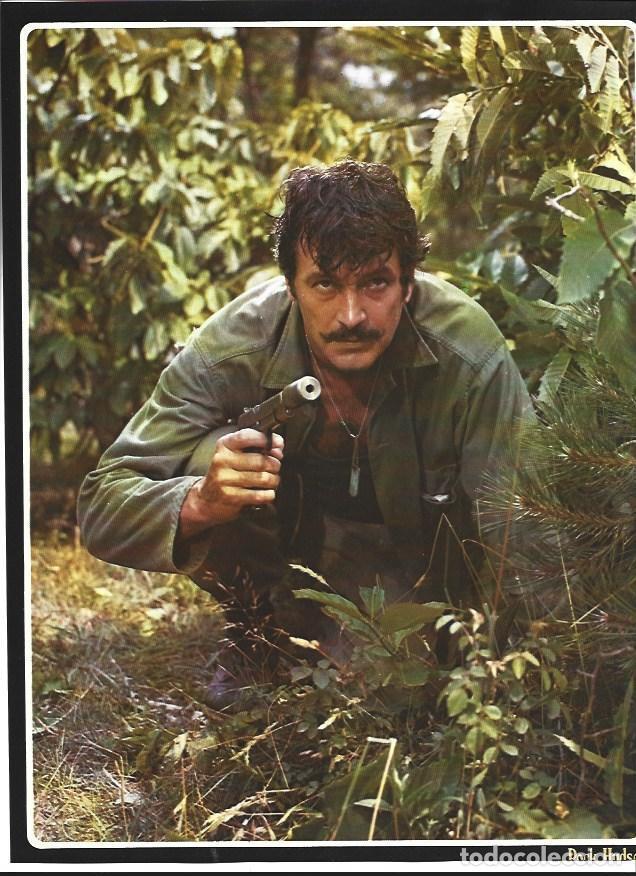 Postales: LAMINA 36795: Rock Hudson - VVAA