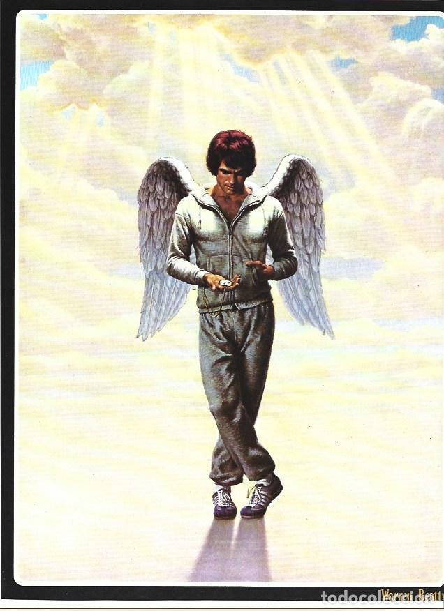 Postales: LAMINA 36837: Warren Beatty - VVAA