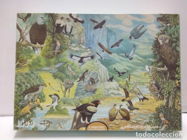 Postales: PUZZLE 1500 Piezas: JAMES HAMILTON DeLuxe Jigsaw : AVES DE RAPI&Ntilde;A / BIRDS OF PREY - JAMES HAMILTON