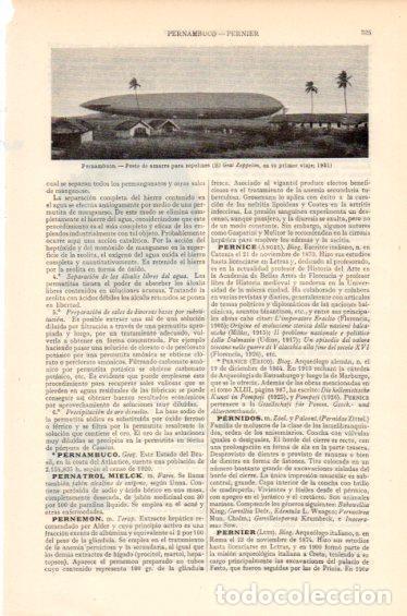 Postais: LAMINA V41632: El Graf Zeppelin en Pernambuco en 1931 - Varios