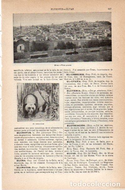 Cartes Postales: LAMINA V42107: Vista general de Elvas - Varios