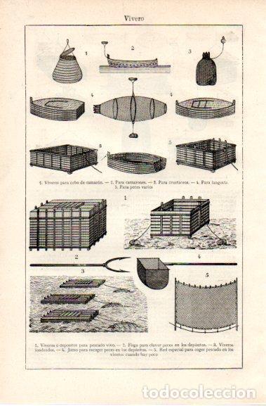 Postais: LAMINA V42794: Vivero - Varios