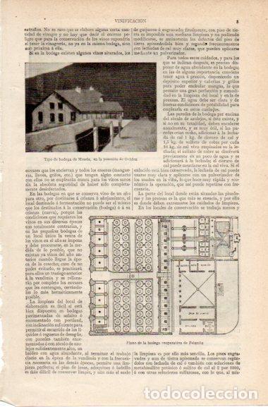 Cartoline: LAMINA V42695: Plano de la bodega cooperativa de Felanitx - Varios