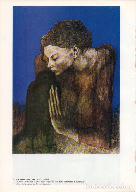 Postais: LAMINA V43094: Picasso. La dona del corb - Josep Palau i Fabre
