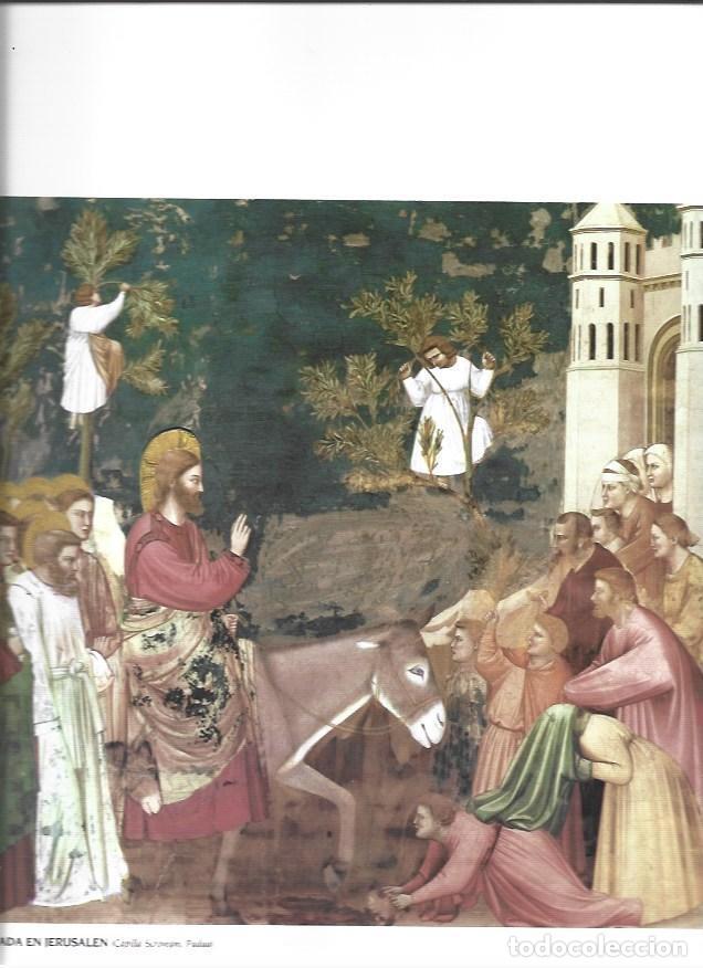 Postais: LAMINA 37310: Entrada en Jerusalen, por Giotto - VVAA