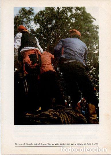 Cartoline: LAMINA V45837: Els xicots de Centelles - Aureli Capmany