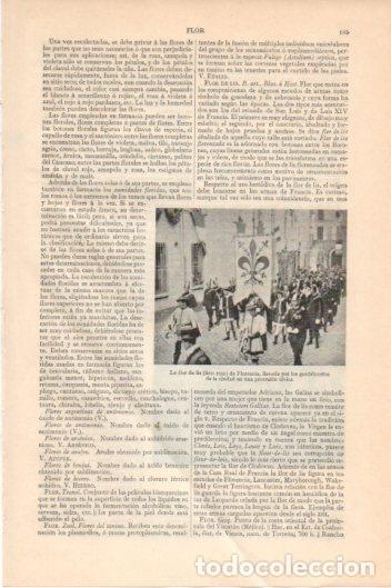Postkarten: LAMINA V45849: Gonfaloneros llevando la flor de lis, Florencia - Varios