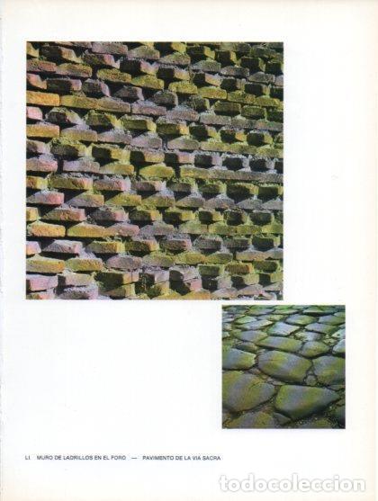 Cartoline: LAMINA V47039: Pavimento de la Via Sacra y ladrillos del Foro, Roma - Raymonde de Gans