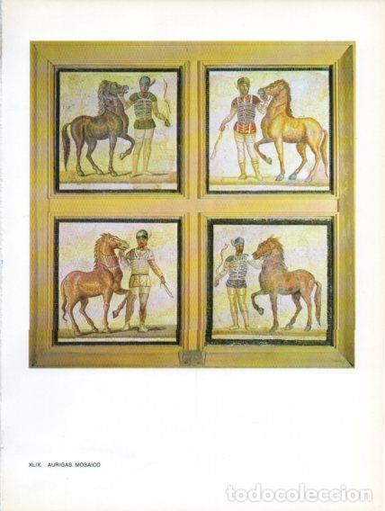 Postais: LAMINA V47037: Aurigas mosaico siglo III - Raymonde de Gans