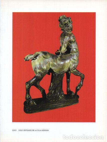 Postais: LAMINA V47024: Viejo centauro de la Villa Adriana - Raymonde de Gans