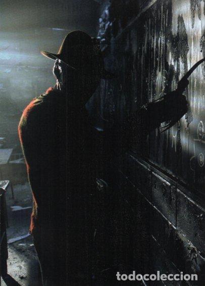 Postales: LAMINA V48536: Freddy Krueger - NULL