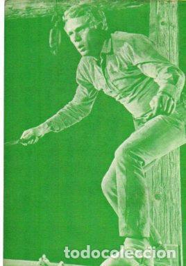 Postcards: V48618: Steve McQueen - NULL