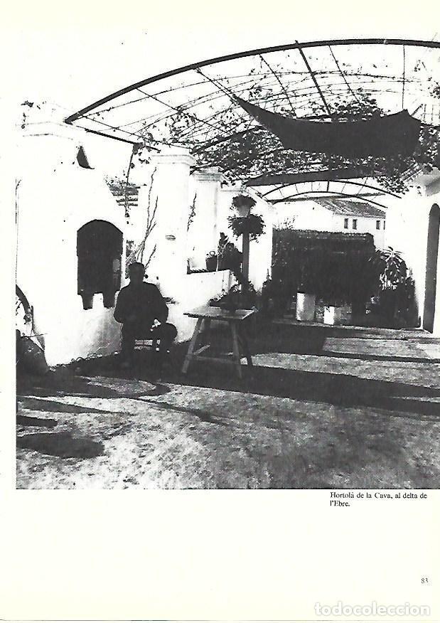 Postales: LAMINA 38884: Agricultor de la Cava, en el delta del Ebro - Edmon Valles