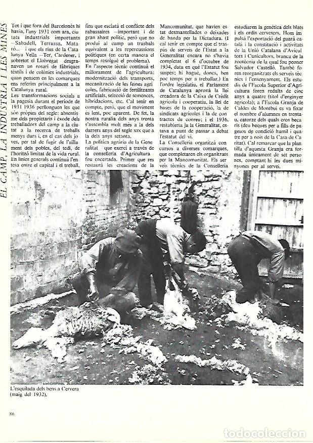 Postkarten: LAMINA 38885: Esquilada de ovejas en Cervera. 1932 - Edmon Valles